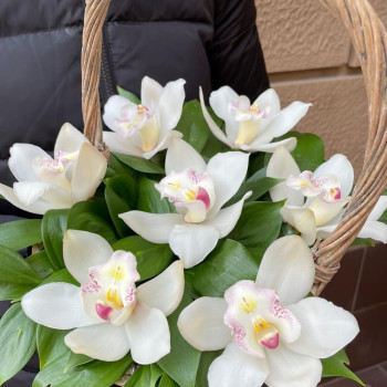 Basket with Orchid